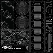 Dyn Aerolastic