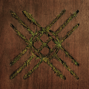 Violent Grief: Acoustic Selections