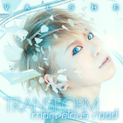 TRANSFORM / marvelous road