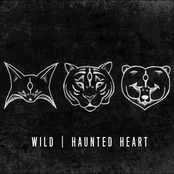 Haunted Heart