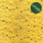 Sponge