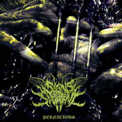 Signs Of The Swarm – Pernicious