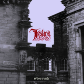 Widow's Weeds cover