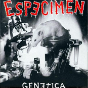 Genetica