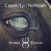Capacity//NoNoah