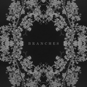 Branches