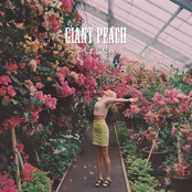 Giant Peach cover