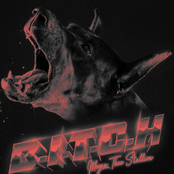 B.I.T.C.H. cover