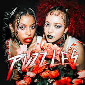Puzzles cover