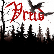 From These Woods