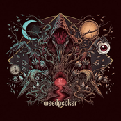 Fading Whispers