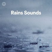 Rainforest Rain