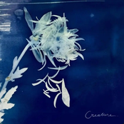 Creature