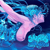 Lucid Machines