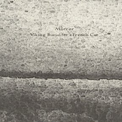 Viking Burial for a French Car