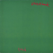 Tench