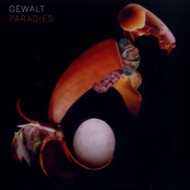 Gewalt – Paradies