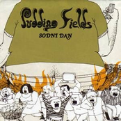 Sodni Dan