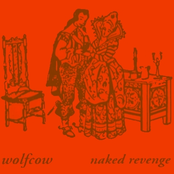 Naked Revenge