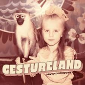 David Duchovny – Gestureland