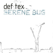 Serene Bug