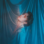 Jude York – Mr Porcelain