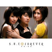 Forever cover