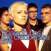Bualadh Bos: The Cranberries Live cover