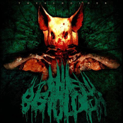 Conform Consume Collapse