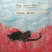 Dead Butterflies – Ramona, The Hurt