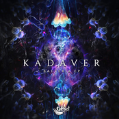 Bacteria EP