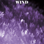 Wind & Friends