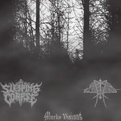 Murky Visions