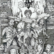1993-1994