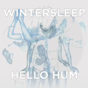 Hello Hum