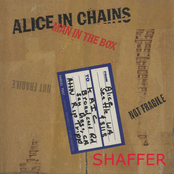 Man In The Box