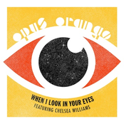 When I Look in Your Eyes