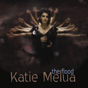 The Flood cover