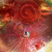 Animals As Leaders – The Joy of Motion