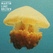 Martin Luke Brown – Into Yellow