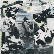 Self-Titled 7