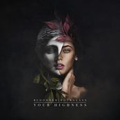 Bloodred Hourglass – Your Highness