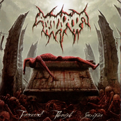 Transcend through Sacrifice