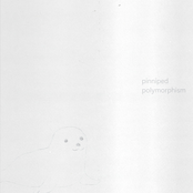 polymorphism