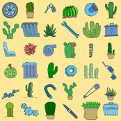SCHUR – Cactus