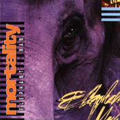 Elephant Man