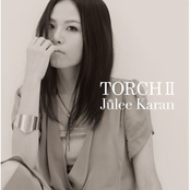 TORCH Ⅱ