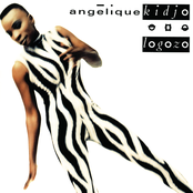 Logozo cover