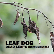 Dead Leaf's (Instrumentals)
