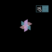 Perichoresis